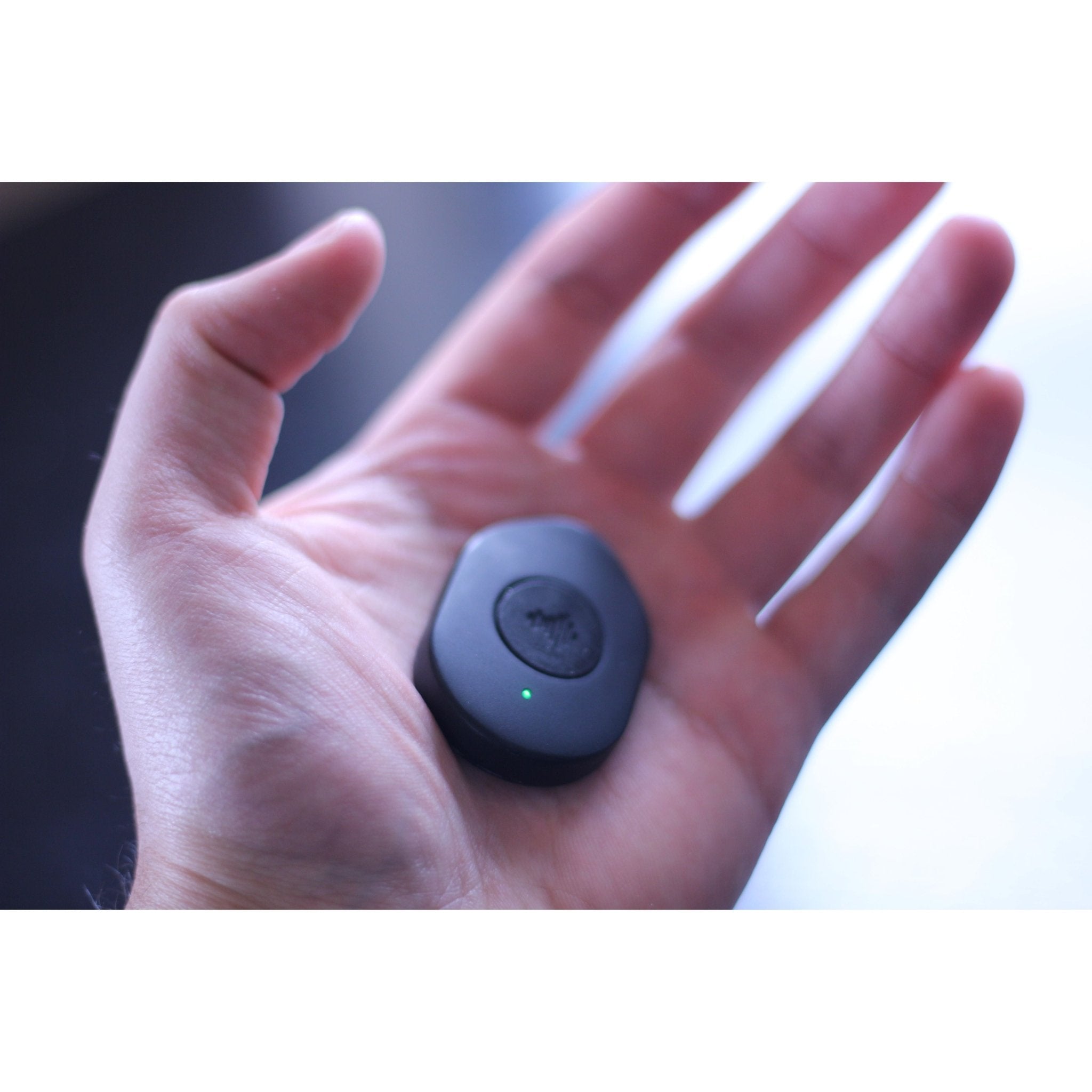 Pulse Adhesives - Pulse Device