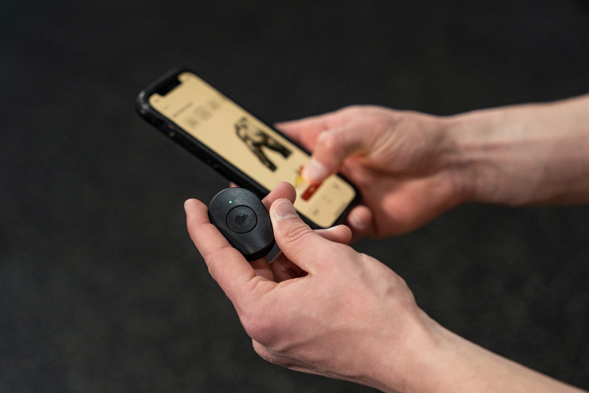 How to Use the Pulse Device