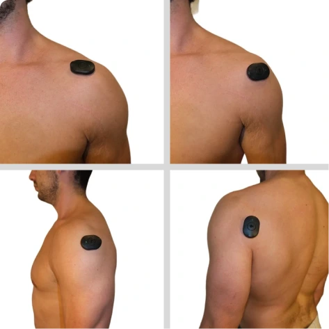 Shoulders