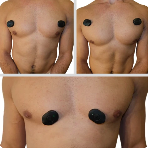 Chest