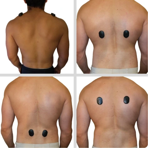 Back