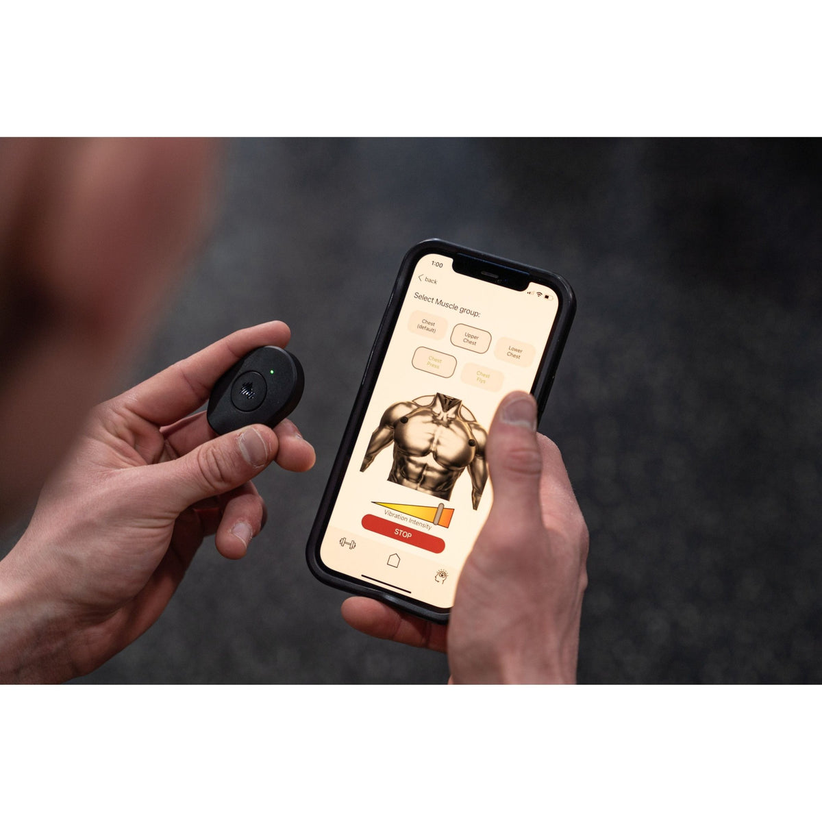 Enhance Your Mind-Muscle Connection